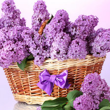 Схема вышивки «сирень3»