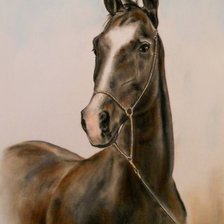 Схема вышивки «Алмаз»