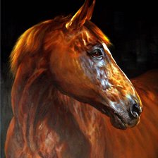 Схема вышивки «Кокетка»