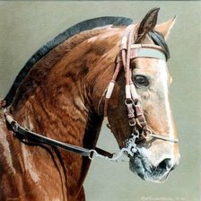 Схема вышивки «Рубин»