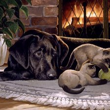 Схема вышивки «дружба»