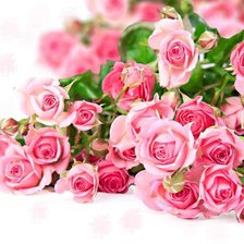 Схема вышивки «букет роз»