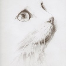 Схема вышивки «кот»