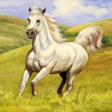 Схема вышивки «лошадка»