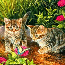Схема вышивки «котята и бабочка»