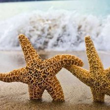 Схема вышивки «звезды»