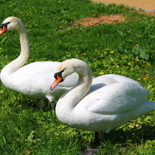 Схема вышивки «лебеди»