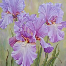 Схема вышивки «№703146»