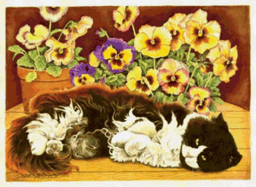 цветочек - котики, кот, коты, цветы - предпросмотр