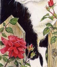 Схема вышивки «взобрался»