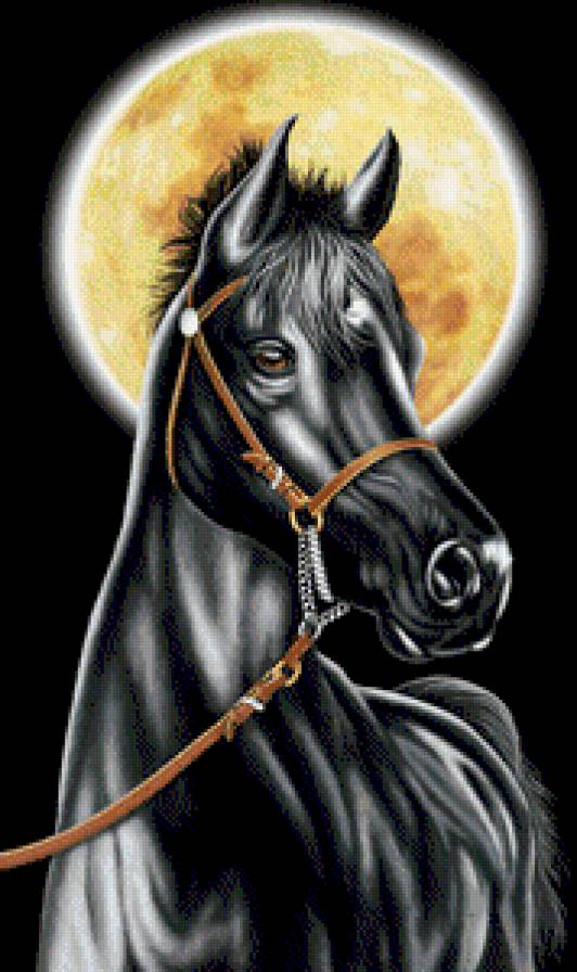 №703605 - предпросмотр