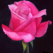 Схема вышивки «пано роза»