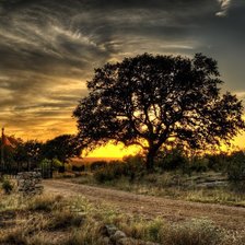 Схема вышивки «Природа»