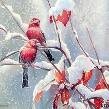 Схема вышивки «№704003»