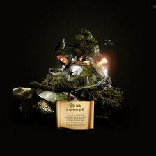 Схема вышивки «Черепаха»