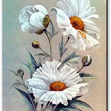 Схема вышивки «№704008»