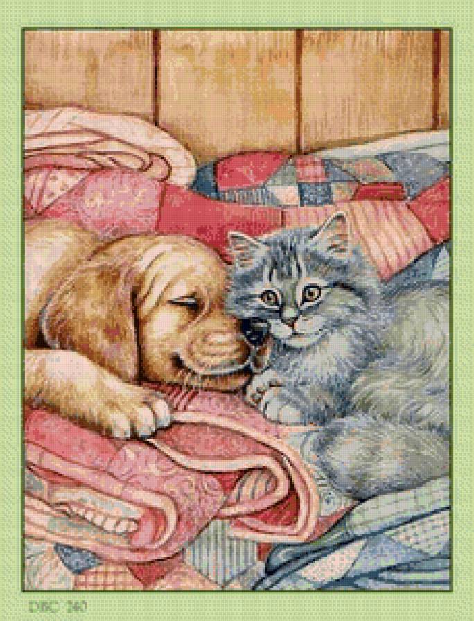 подружились - коты, собака, кот, спящие, котики - предпросмотр