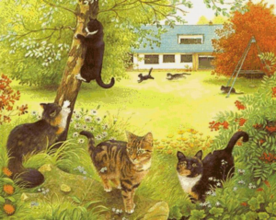 на прогулке - коты, природа, котики - предпросмотр