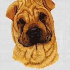 Схема вышивки «Шарпей»