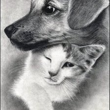 Схема вышивки «№704091»