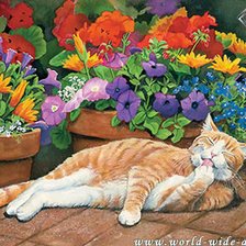 Схема вышивки «№704167»