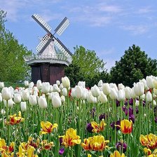 Схема вышивки «Мельница»