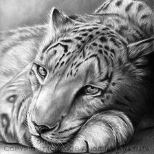 Схема вышивки «№704214»