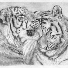 Схема вышивки «№704222»