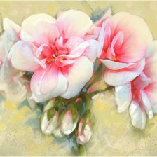 Схема вышивки «нежность»