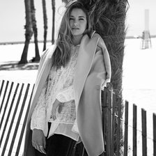 Схема вышивки «шэйлин вудли»