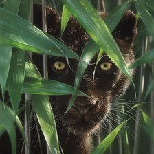 Схема вышивки «Взгляд 2»