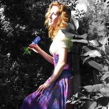 Схема вышивки «Николь_3»