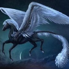 Схема вышивки «черный пегас»