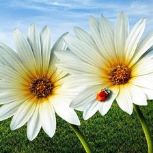 Схема вышивки «№704588»