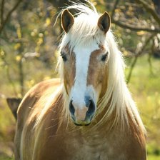Схема вышивки «№704591»