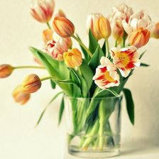 Схема вышивки «№704595»