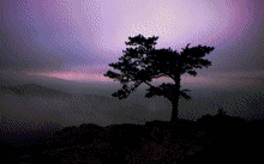 Сумерки - природа, сумерки, дерево - предпросмотр