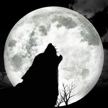 Схема вышивки «Зов природы»