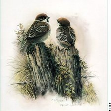 Схема вышивки «Птички»