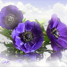 Схема вышивки «Цветы»