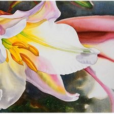 Схема вышивки «№704692»