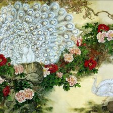 Схема вышивки «павлины»