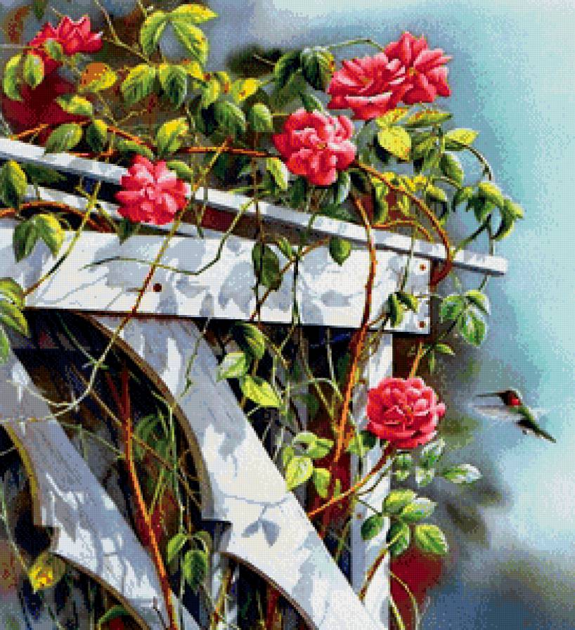 цветы и птицы - пано, цветы, птицы, природа, розы - предпросмотр