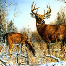 Схема вышивки «олени»