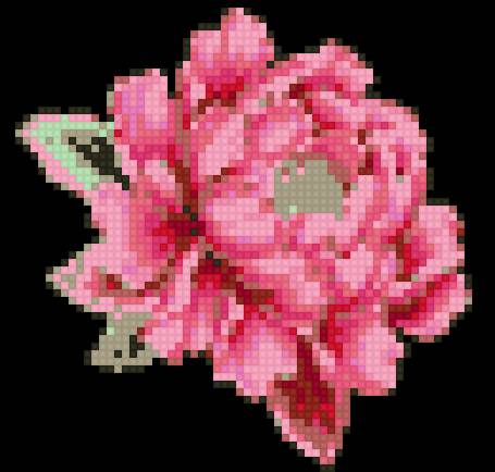 пион 2 - предпросмотр