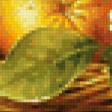 Предпросмотр схемы вышивки «апельсины» (№705159)