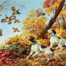 Серия Охота