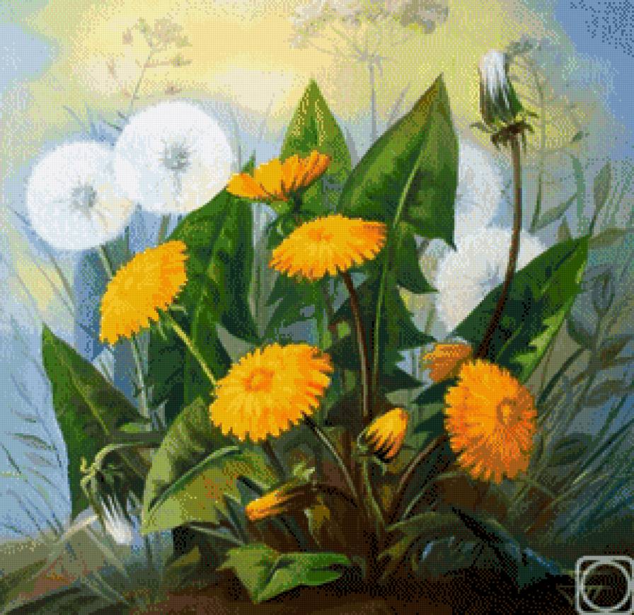 одуванчики - предпросмотр