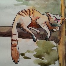 Схема вышивки «коте»