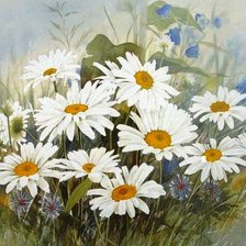 Схема вышивки «пано ромашки»